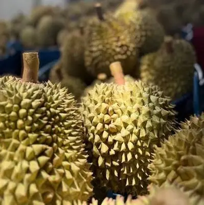 Monthong Durian: The Best Variety for Freeze Dried Durian?